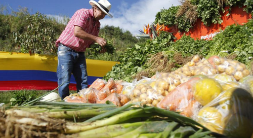 Obstáculos por superar para que llegue más crédito a los agricultores