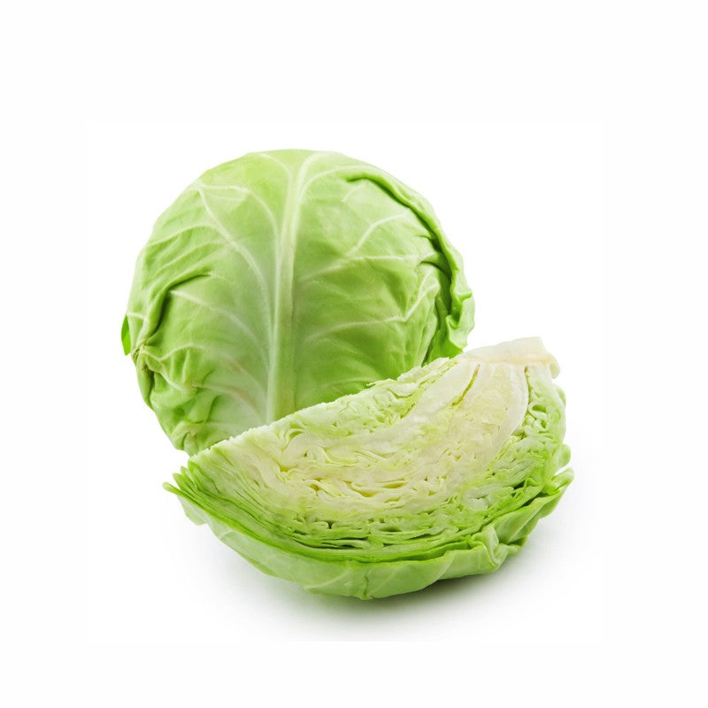 Lechuga